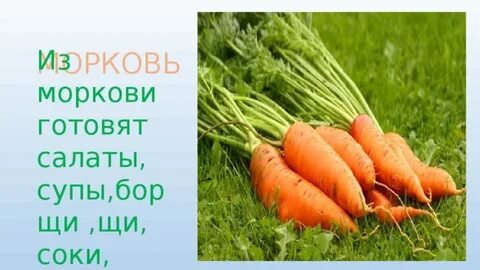 Морковь разбор