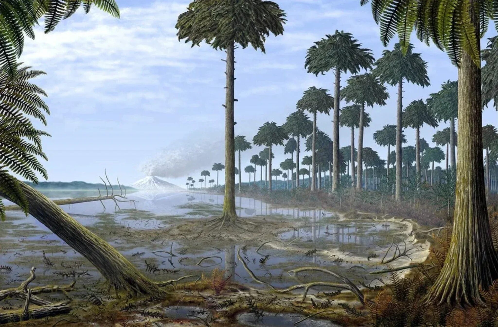 Девонский период растения. Девонский период растения. Девонский период растения. Девонский период палеозойской эры. Девонский период растения.