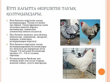 Олар Надя Грановскаяны блять