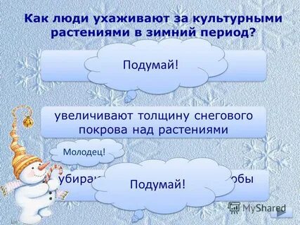 Период зимы