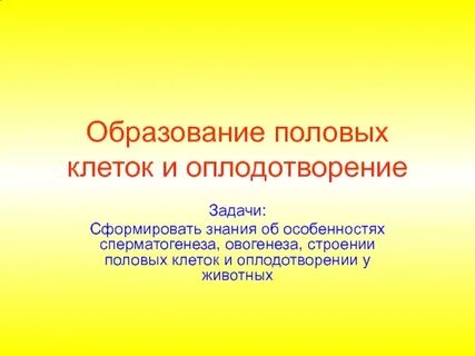 Половое образование