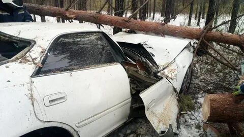Происшествия амурская область последние новости