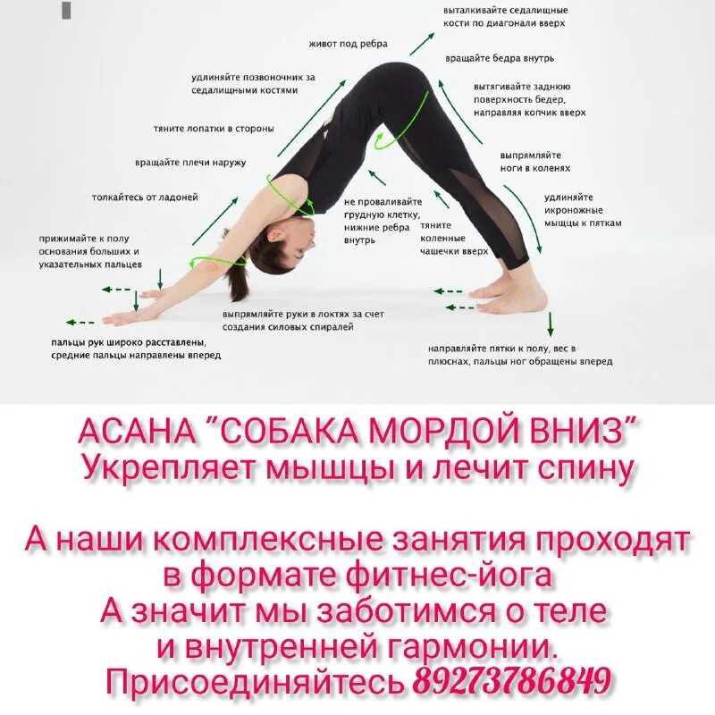 как правильно делать собаку мордой вниз. собака мордой вниз правильное выполнение. как правильно делать собаку мордой вниз. адхо мукха шванасана. мукха шванасана.