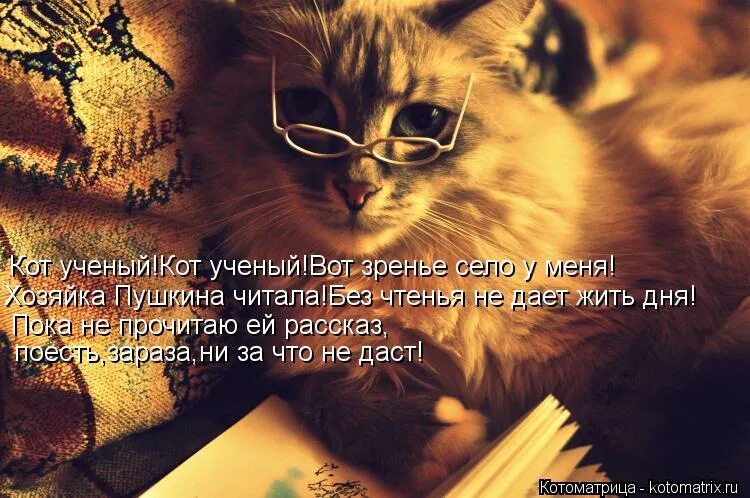 Кот без дураков терри пратчетт. Терри пратчетт кот без прикрас обложка. Сутеев иллюстрации три котенка. Терри пратчетт с котом. Читать кот без.
