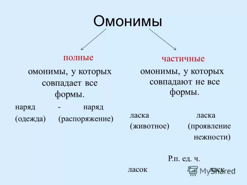 Омонимы 6 класс. Омонимия примеры. омонимы. полные и неполные омонимы. полные омонимы примеры.