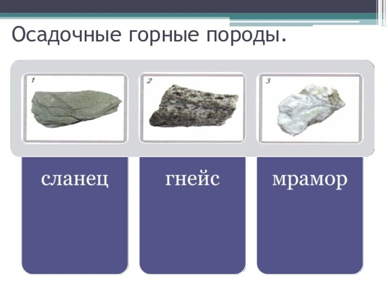 К породам осадочного происхождения относятся. Осадочные органические горные породы. Осадочные горные породы осадочные горные породы. Осадочные горные породы названия. Осадочные горные породы это 5 класс.