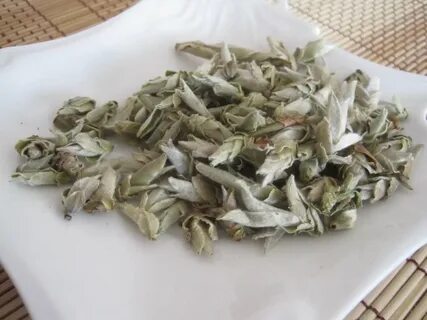 Белые почки