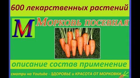 Известно что морковь