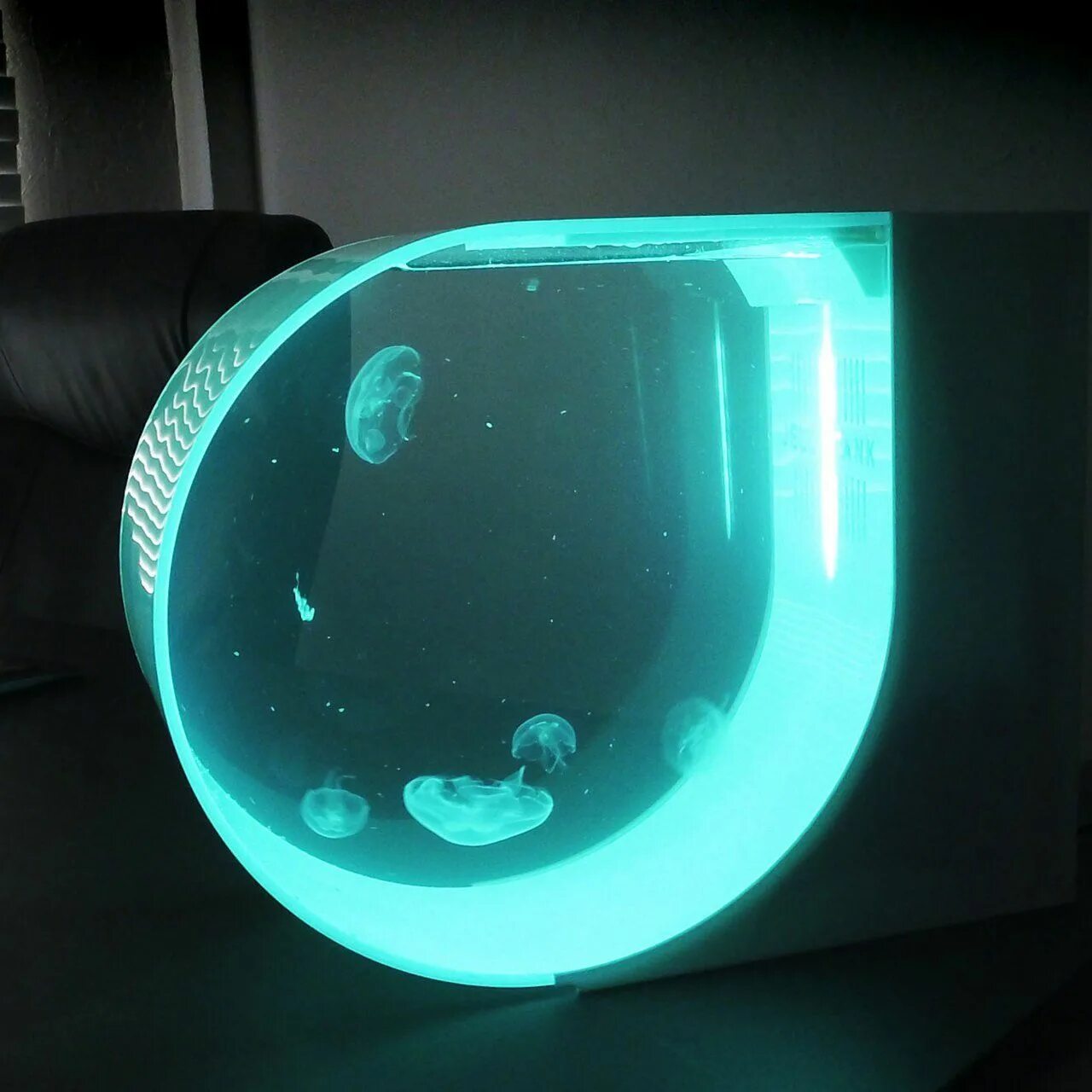 Медуза живая купить. Аквариум led desktop Jellyfish Tank. Аквариум с медузами Orbit 20. Аквариум медузятник. Круглый аквариум с медузами.