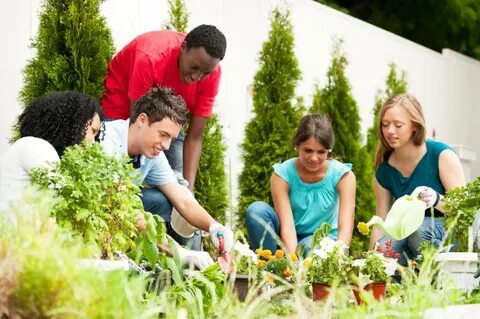 Family plants