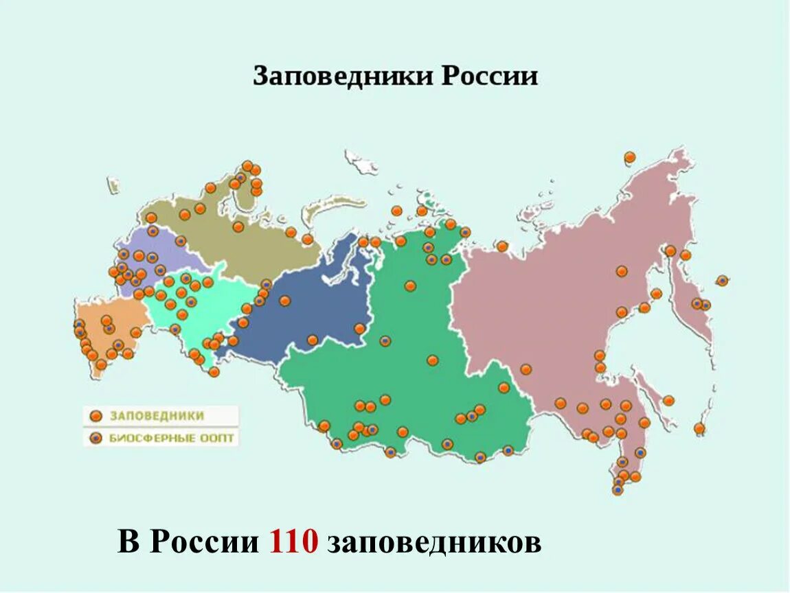 Сколько парков в россии. Крупнейшие заповедники России на карте. Расположение заповедников России на карте. Карта заповедников и национальных парков России 4 класс. Заповедники и национальные парки России карта.