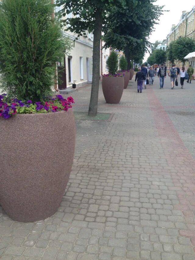 Вазон берри арбет. Усадьба голицыных юрьев польский. Беговая 121. Электричка голицыно белорусский вокзал. Голицына беговой.