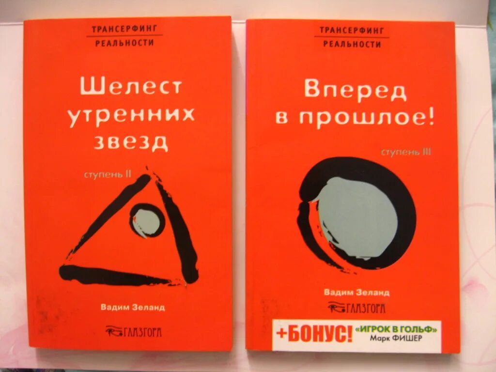 Книга Трансерфинг реальности ступени 2. Трансерфинг реальности Шелест утренних звезд. Читать шелест 1