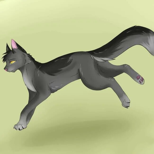Коты воители анатомия лап. Willowshine коты воители. Коты воители серолапка. Коты воители березовик. Коты воители грей пиллоу лайн.
