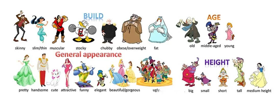 Appearance and personality. Appearance and character. Appearance-1. Appearance build.