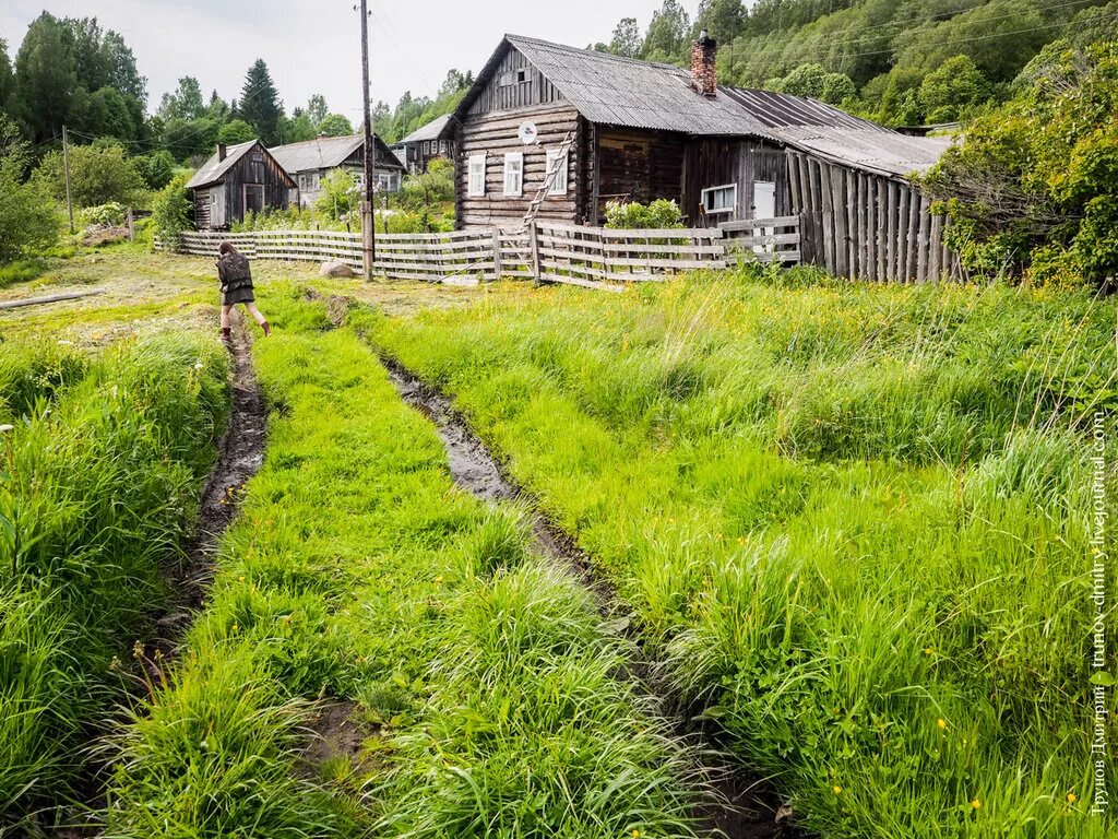 Заросший дом в деревне. Деревня Кяргино. Деревня Тереки Карелия. Заросшая деревня.