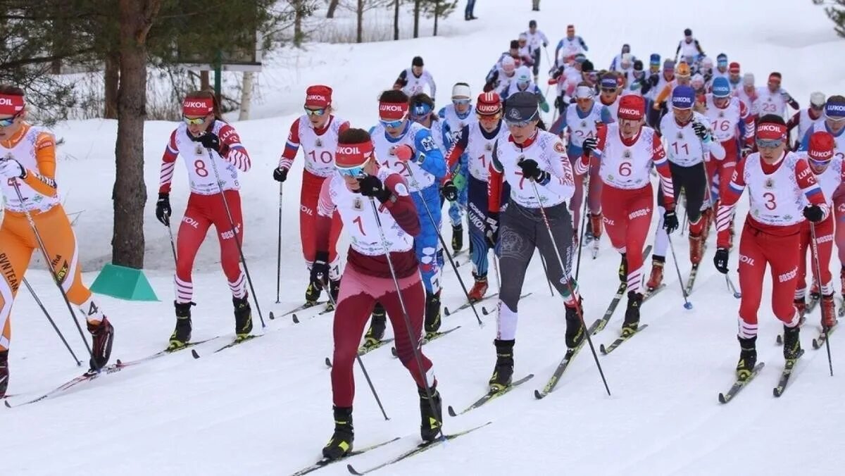 погода в малиновке архангельская область. малиновка лыжероллерная трасса архангельская область. погода в малиновке архангельская область. погода в малиновке архангельская область. октябрьский устьянский район малиновка.