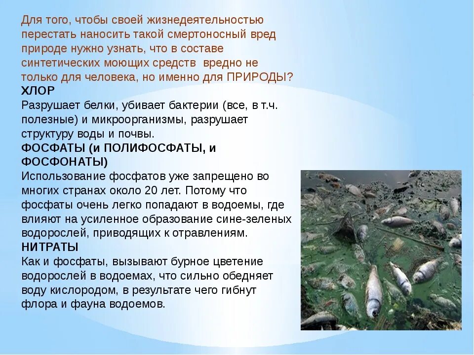 Вред мытья. Влияние моющих средств на экологию. Влияние на окружающую среду синтетические моющие средства. Влияние синтетических моющих средств на окружающую среду. Влияние фосфатов на окружающую среду.