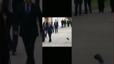 Голубь отдает честь