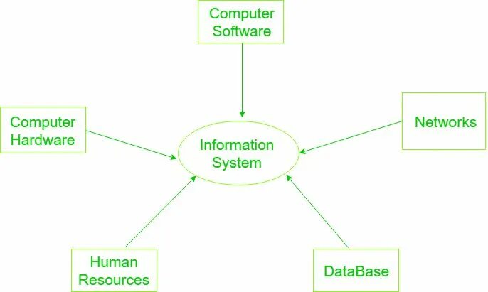 Information system functions. Components of information systems. components of the information system стокфото. zoological information management system организация. various types of information systems.