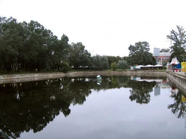Пионерский пруд в селятино платная рыбалка. Пионерский пруд парк горького. Пионерский пруд парк горького. Водоемы в красном селе. Пруд пионер саратовская.