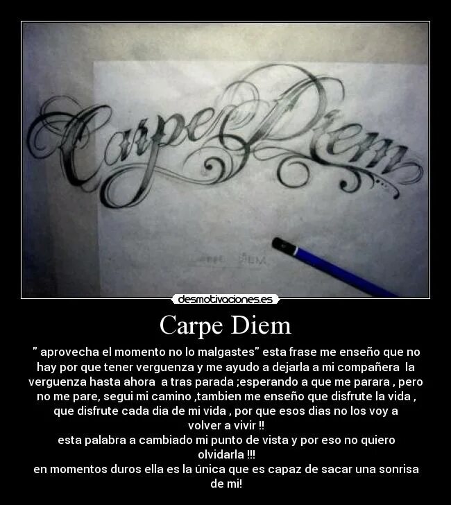 Carpe Diem фраза. Рисунок к фразе Carpe Diem. Выражение Carpe Diem. Carpe Diem перевод.