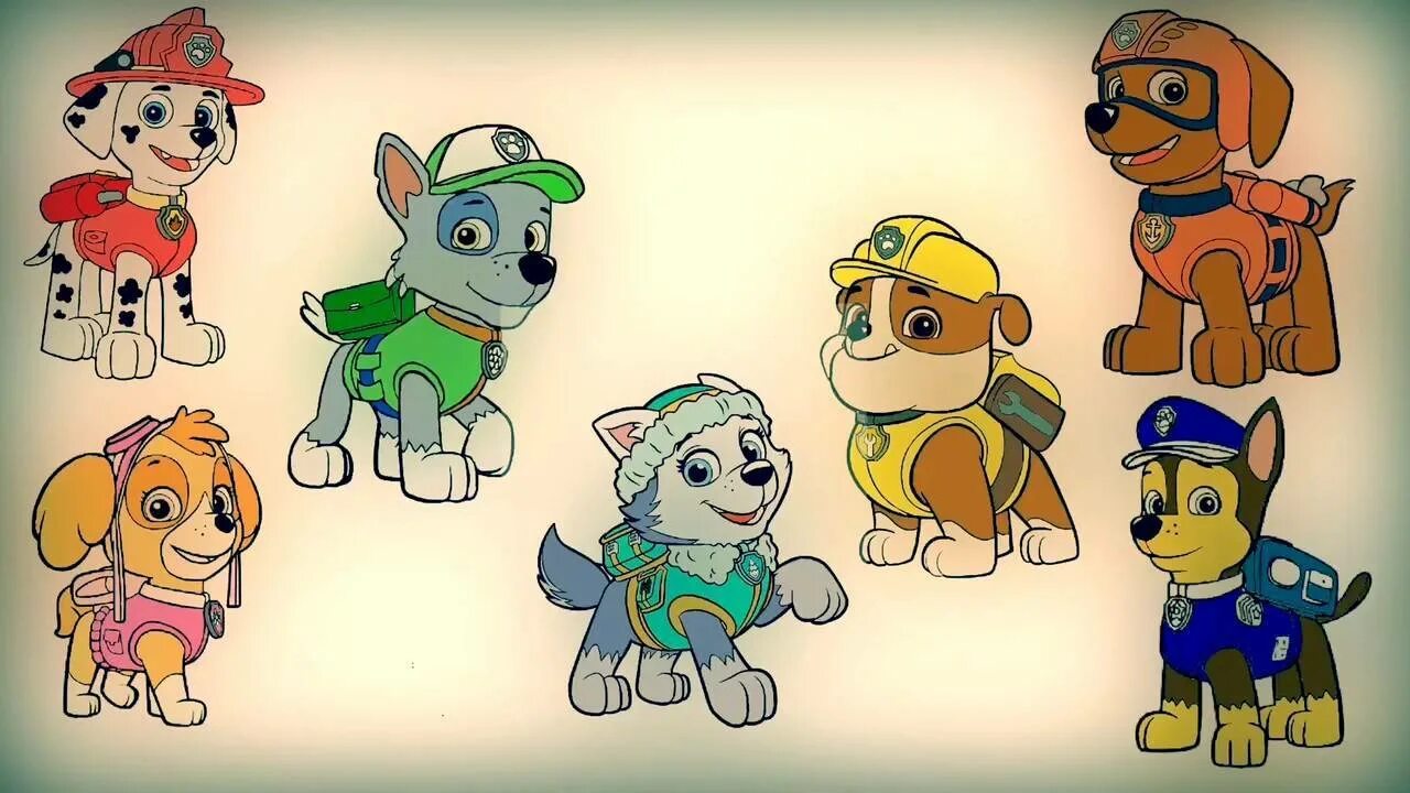 Щенячий патруль как зовут. Игрушки эверест и райдер. Шенячийпатруль герои имена. Как зовут собак из щенячьего патруля. Щенячий патруль герои.
