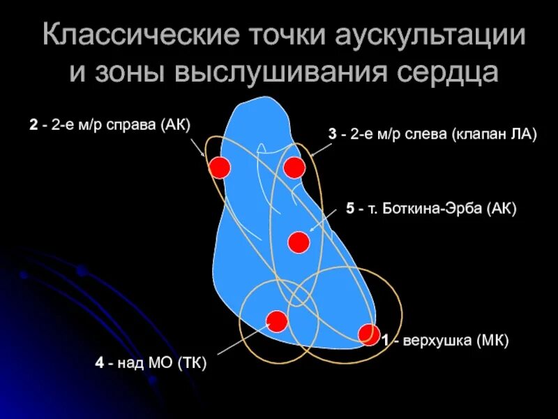 Как называется прослушивание сердце