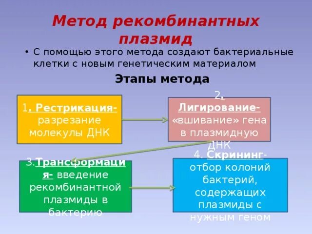 Метод получения рекомбинантных плазмид. Метод рекомбинантных пластид. Этапы создания рекомбинантных плазмид. Метод рекомбинантных плазмид этапы. Этапы получения бактерий с рекомбинантной плазмидой