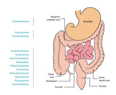 Нәзік, әдемі секс