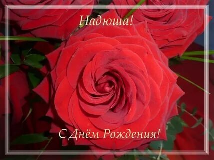 Открытки с днем рождения именные надежде