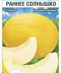Дыня северная принцесса