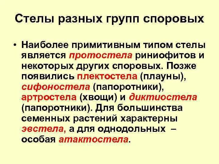 Тип стели. Тип стелы у папоротников. основные типы стелы высших растений. типы стел у растений. стела в биологии.