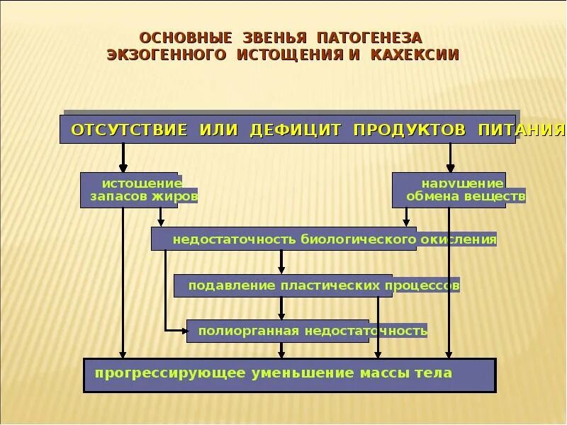 Является важным звеном в