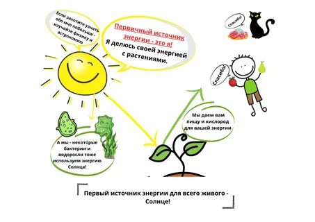 Бнту атф