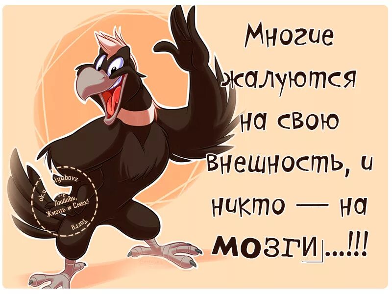 Прикольные картинки со смыслом
