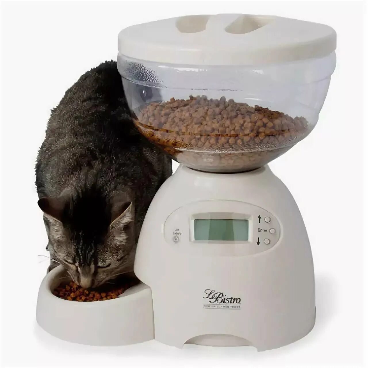 Купить автоматическую кормушку для кошек. Автокормушка для кошек Pet Feeder. Automatic Pet Feeder автокормушка. Автоматическая кормушка для кошек с таймером Colby. Дозатор для корма для кошек с таймером Hiper.