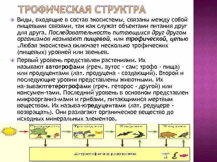 Тест пищевые связи 5 класс. Последовательность групп организмов. Живые существа связаны между собой в цепи питания. Функциональные группы в экосистеме как они связаны. Какие категории организмов входят в состав экосистемы.