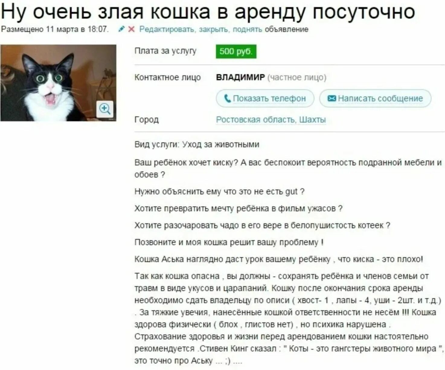 Прикольные объявления о продаже котов. Смешные объявления про котят. Кошка в аренду. Злая кошка в аренду. Продается кошка отзывы