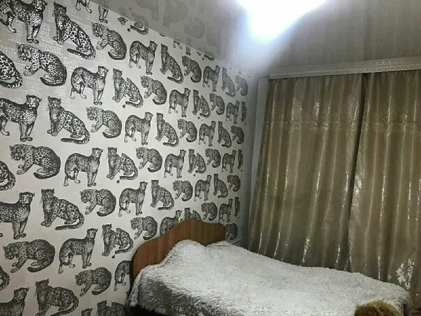 2 комнатная квартира в кызыле. Комната в кызыле. Аренда кызыл квартира за 6000. Квартиры посуточно в кызыле телефон номер. Посуточные комнаты в кызыле.
