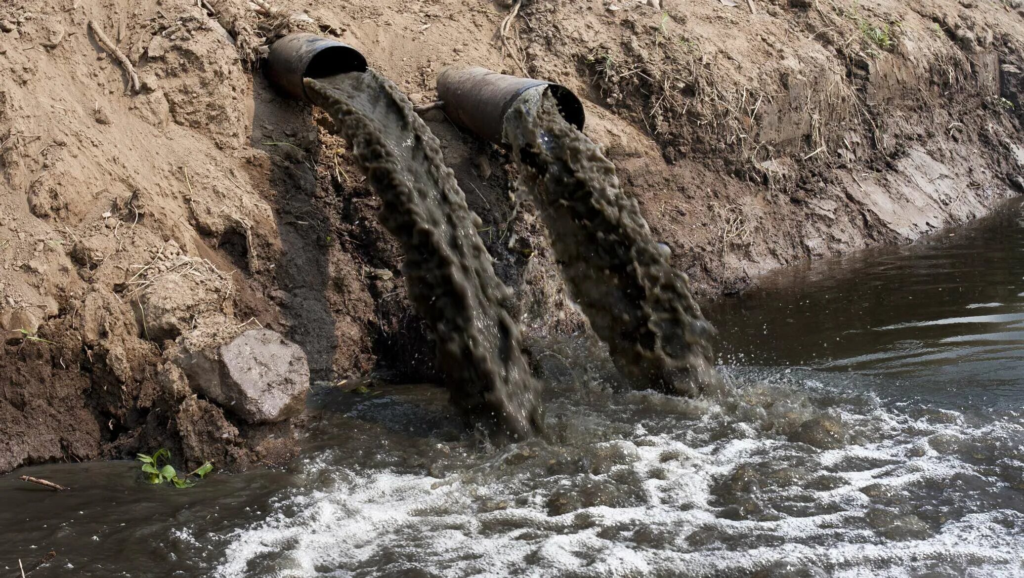 Неочищенные стоки. Загрязнённые реки Калининграда. Загрязнение воды. Сточные воды. Канализационные стоки.