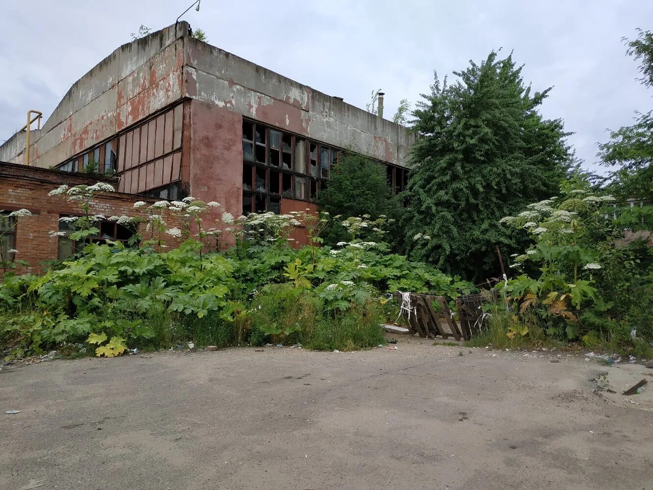 Холодмаш ярославль заброшка. Оао холодмаш черкесск. Холодмаш ярославль. Заброшенный завод холодмаш ярославль. Заброшенный завод холодмаш ярославль.
