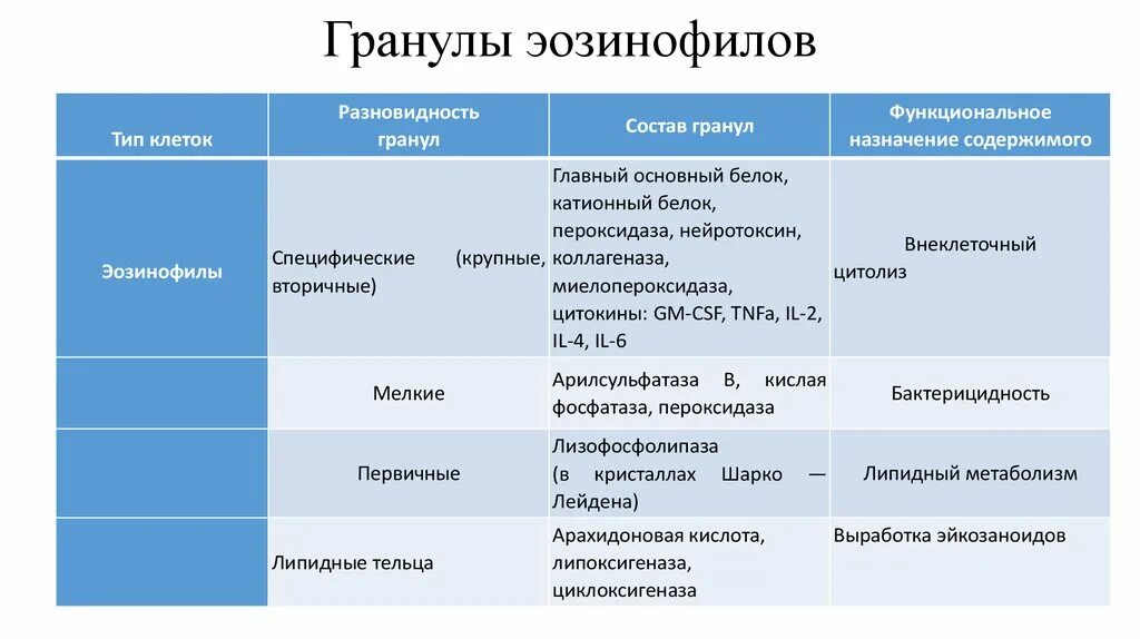 Эозинофилы содержат. Ультраструктура гранул эозинофилов. эозинофилы строение гранул. эозинофилы строение описание. тинкториальные свойства гранул эозинофилов.