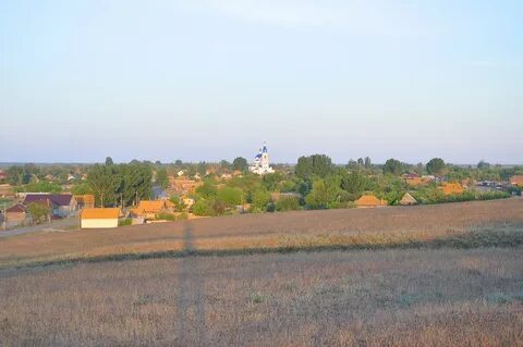 Старица астраханская