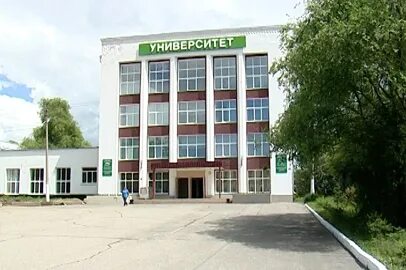 Дальгау благовещенск