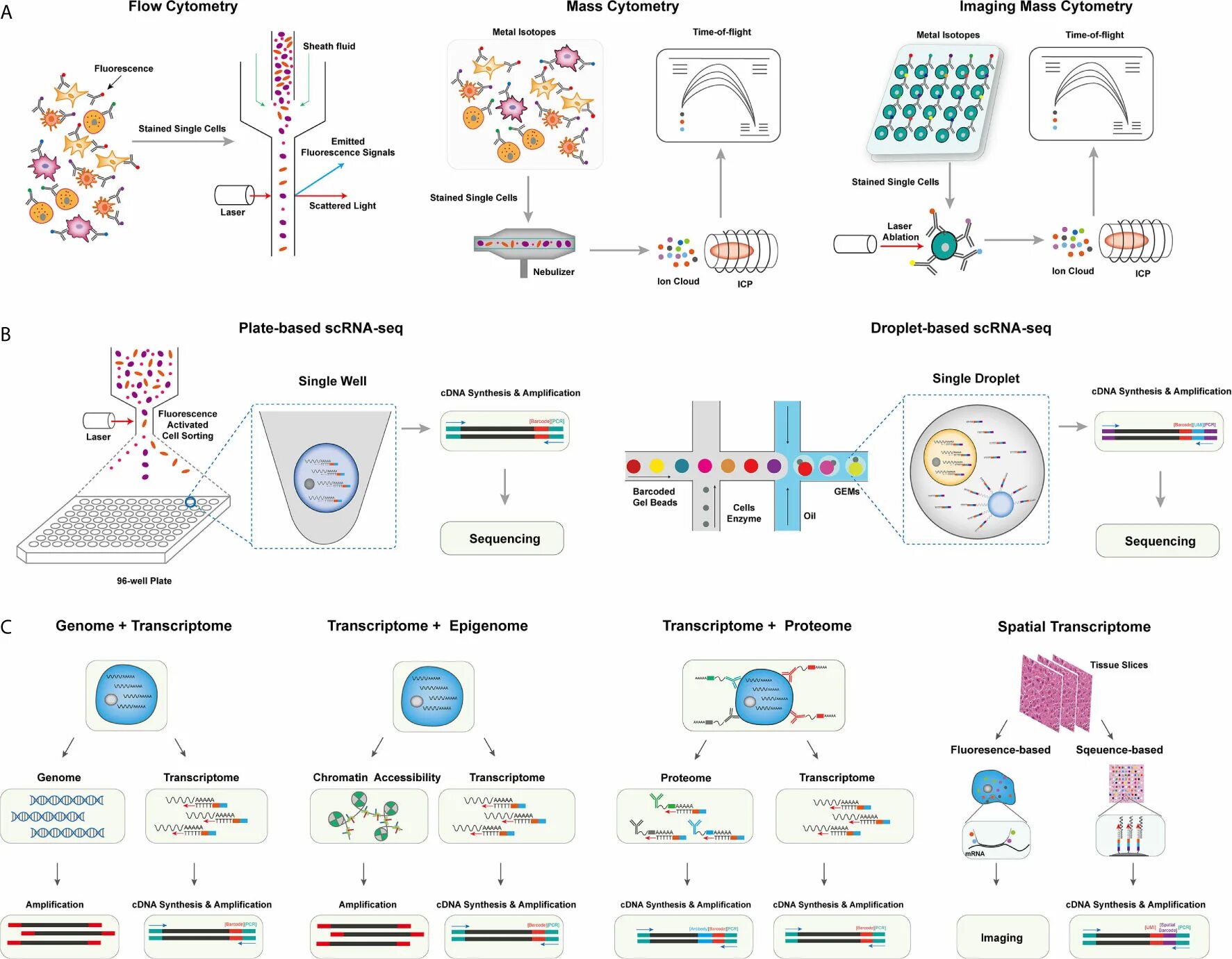 Single Cell sequencing. Иммунология опухолевого роста. Проточная цитометрия т лимфоциты. Омиксные технологии.