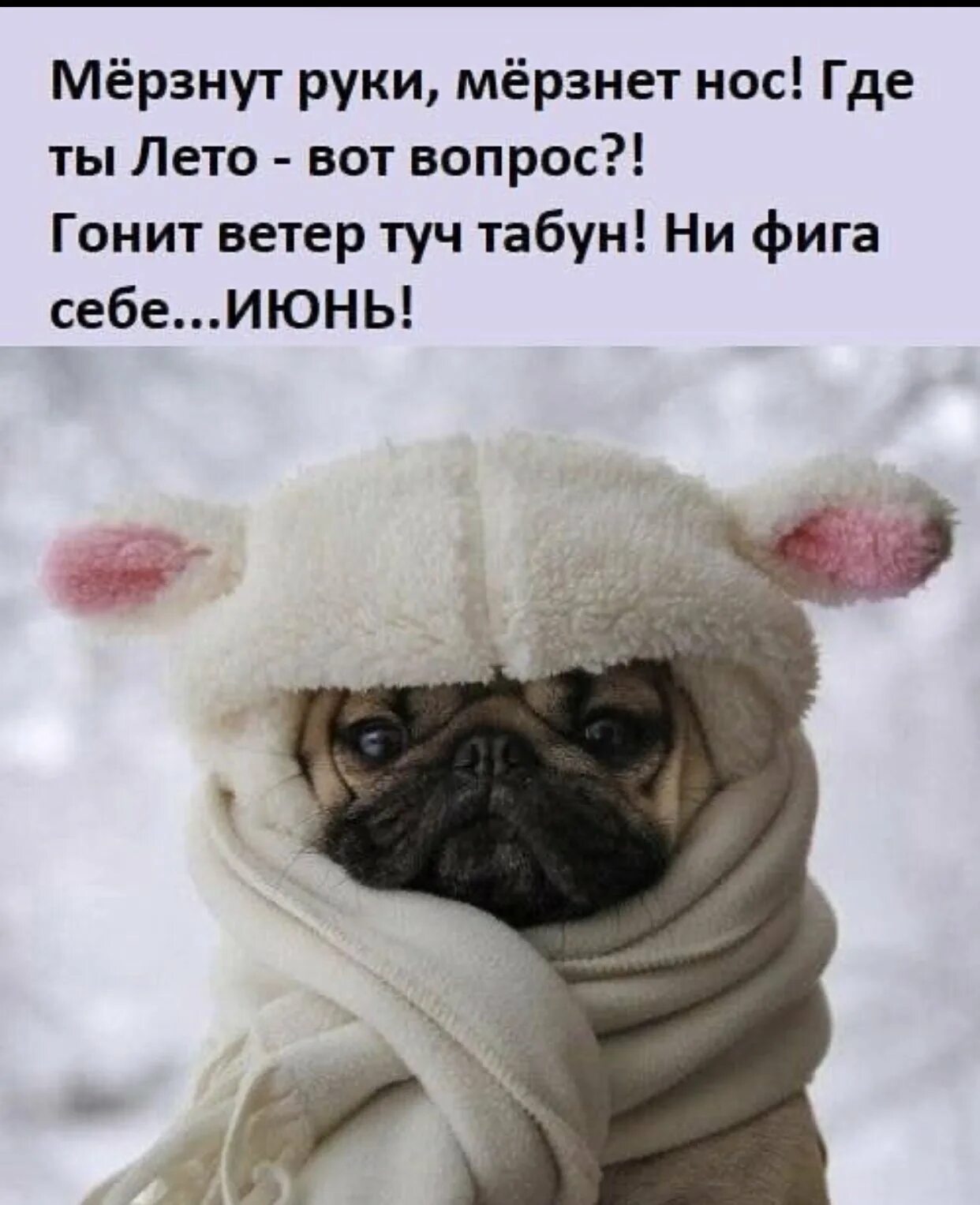 Очень холодно утро. Мерзнут руки мерзнет нос. Доброе утро одевайтесь теплее. Открытка одевайтесь теплее. Я замерзла картинки.