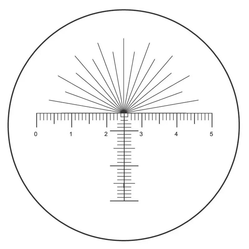 Линейка для микроскопа. Окуляр микрометр для микроскопа. Микрометрическая сетка для микроскопа. Оптическая линейка для микроскопа. Окуляр с линейкой.