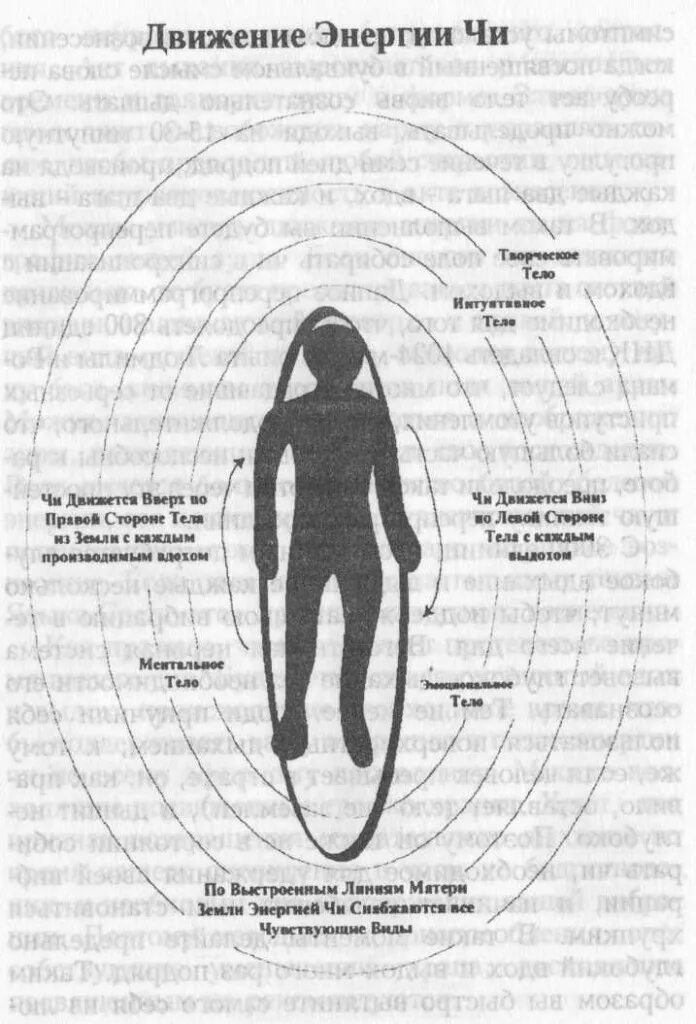 Циркуляция энергии в теле человека. Схема циркуляции энергии Ци. Энергия человека. Движение энергии в теле человека схема. Потоки через тело