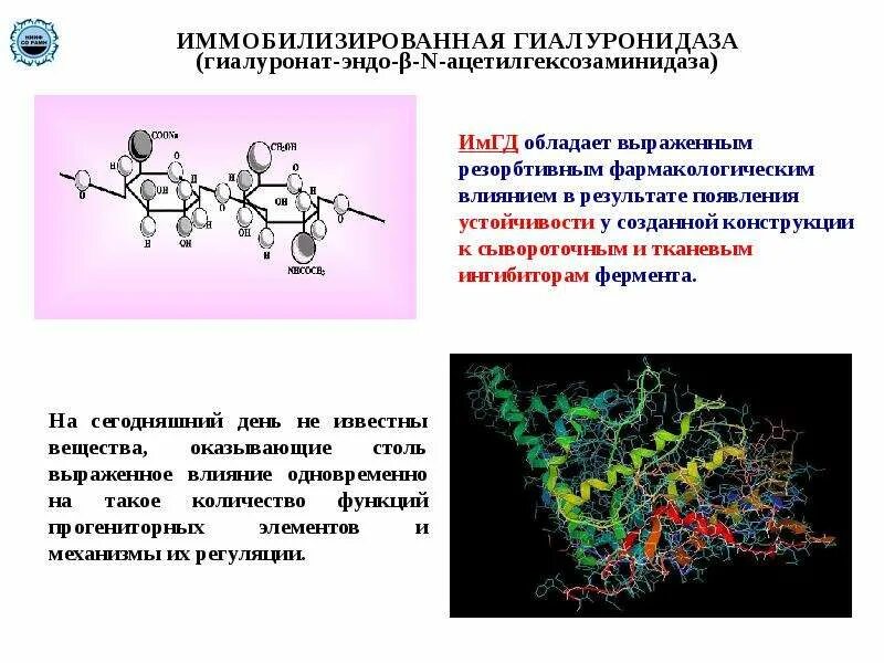 Фермент гиалуронидаза используется в медицине для. Гиалуронидаза фермент. механизм действия гиалуронидазы. гиалуронидаза биохимия. гиалуронидаза схема реакции.